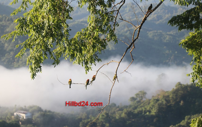 পাহাড়ের প্রকৃতি