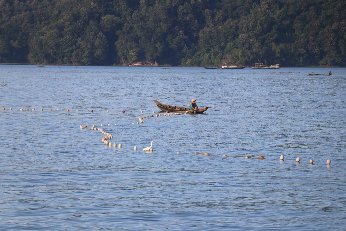 কাপ্তাই হ্রদে এক আদিবাসী নারীর মাছ শিকার।