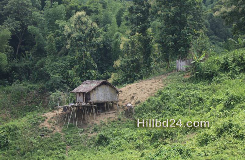 সীমান্ত  ঠেগার চান্দবিঘাটে পাহাড়ে বসবাস