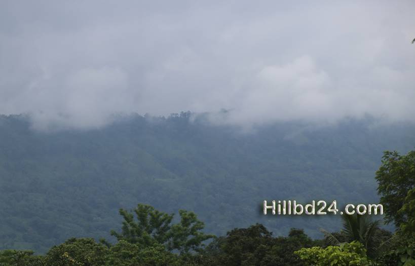 পাহাড়ের প্রকৃতি