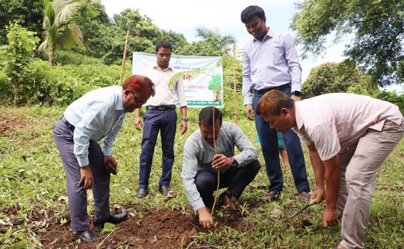 রাবিপ্রবি’তে পরিকল্পিত বনায়ন কার্যক্রমের উদ্বোধন